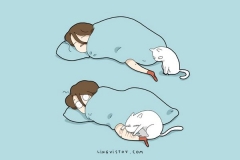 dessins-humour-chats-16.jpg